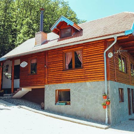 Etno Domacinstvo Milenkovic Villa Despotovac Luaran gambar