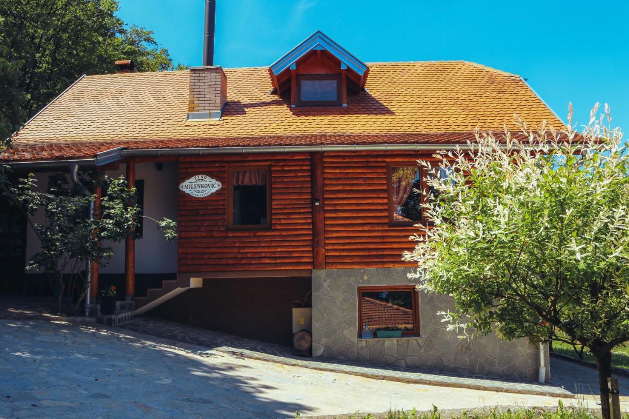 Etno Domacinstvo Milenkovic Villa Despotovac Luaran gambar