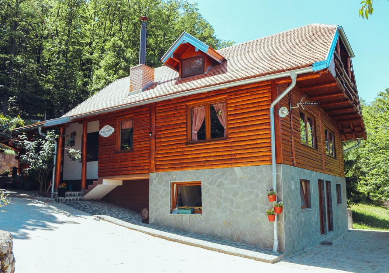 Etno Domacinstvo Milenkovic Villa Despotovac Luaran gambar