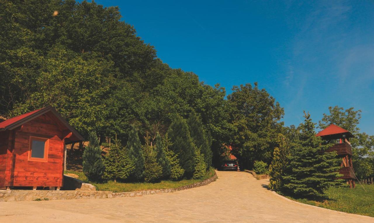 Etno Domacinstvo Milenkovic Villa Despotovac Luaran gambar