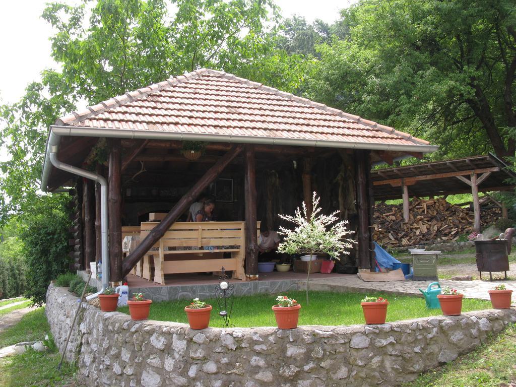 Etno Domacinstvo Milenkovic Villa Despotovac Luaran gambar