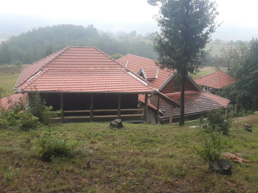 Etno Domacinstvo Milenkovic Villa Despotovac Luaran gambar