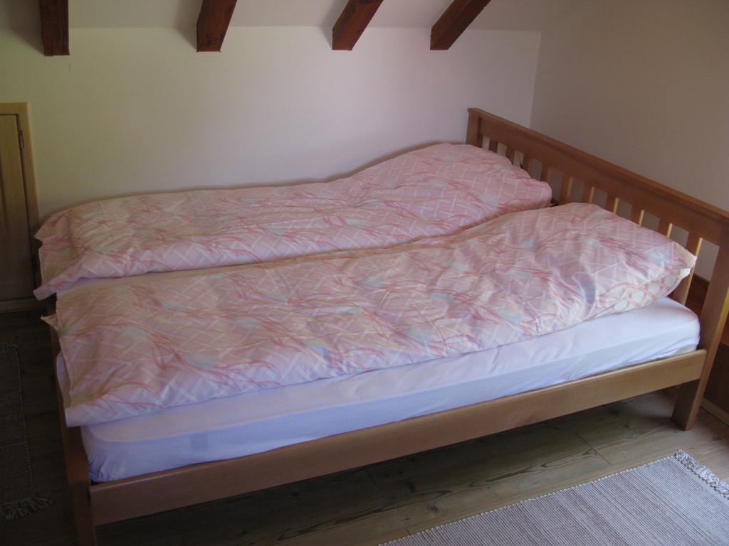 Etno Domacinstvo Milenkovic Villa Despotovac Luaran gambar