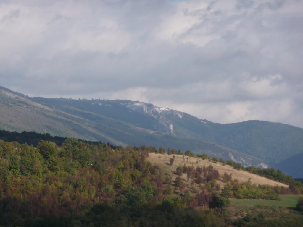 Etno Domacinstvo Milenkovic Villa Despotovac Luaran gambar