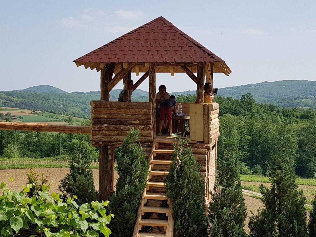 Etno Domacinstvo Milenkovic Villa Despotovac Luaran gambar