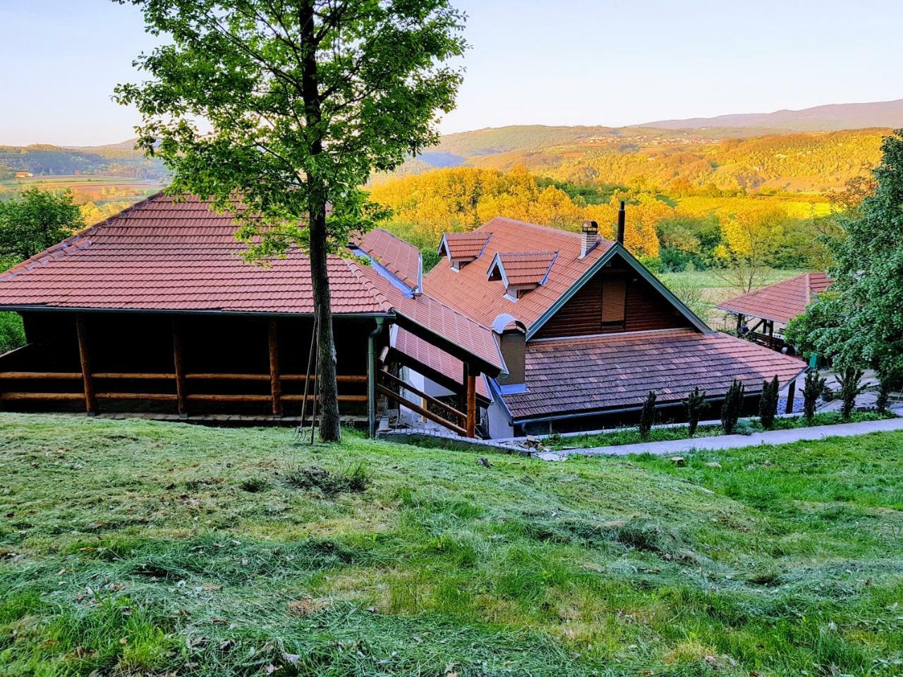 Etno Domacinstvo Milenkovic Villa Despotovac Luaran gambar